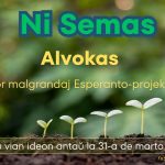 Semu vian ideon antaŭ la 31-a de marto!