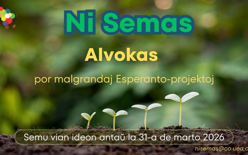 Semu vian ideon antaŭ la 31-a de marto!