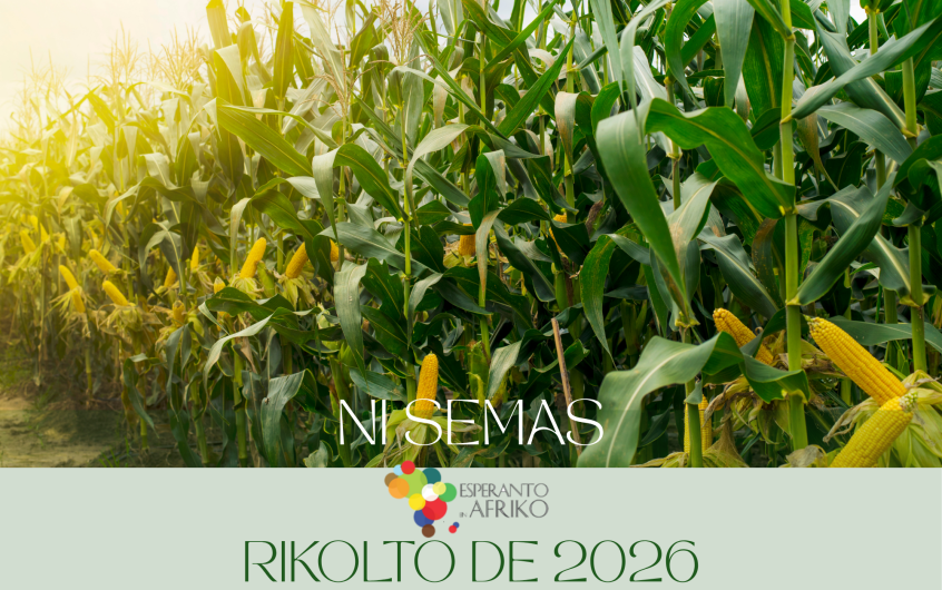 Subvenciitoj de Ni Semas 2026